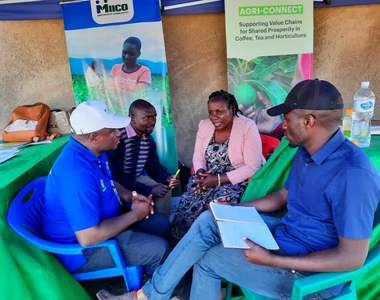 Research and Development of Avocado Produce in Tanzania